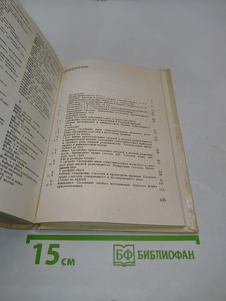 Чешский язык для русских