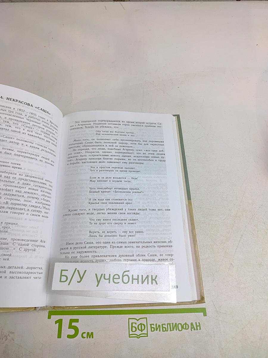 Литература. 8 класс. Часть 2