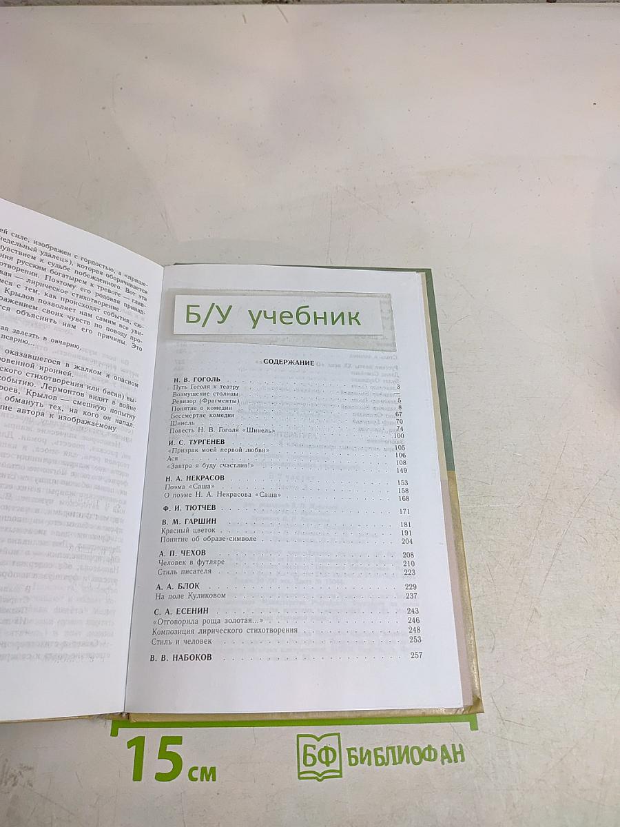 Литература. 8 класс. Часть 2