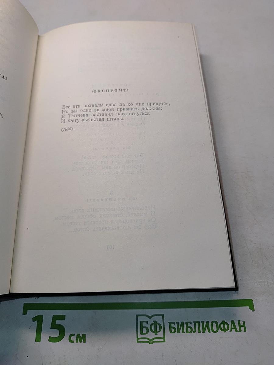 Собрание сочинений. Том десятый. Стихотворения, поэмы, литературные и житейские воспоминания, переводы