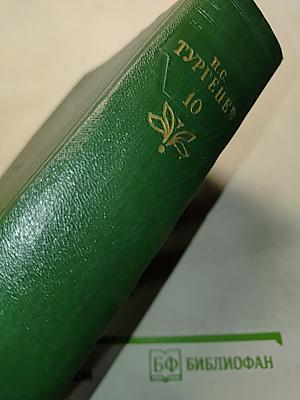 Собрание сочинений. Том десятый. Стихотворения, поэмы, литературные и житейские воспоминания, переводы