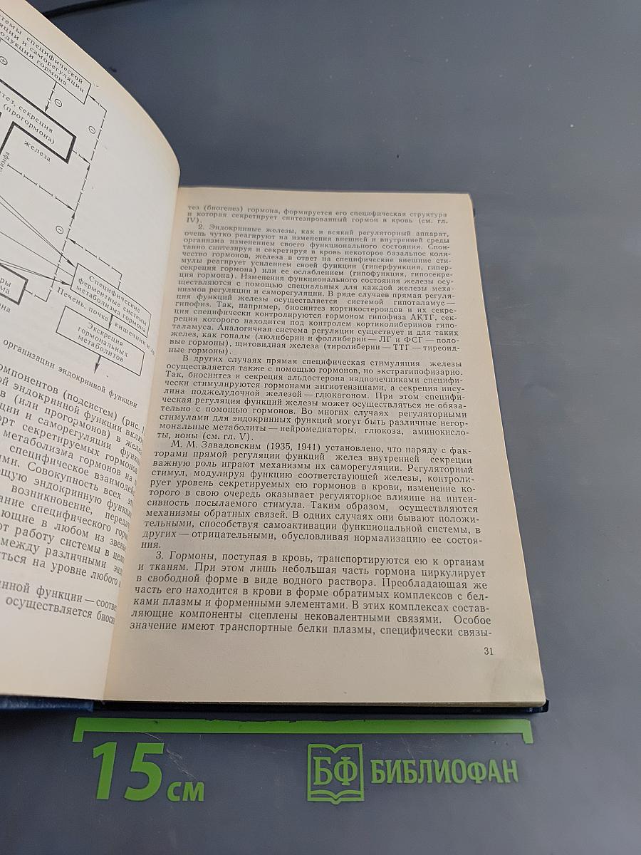 Основы эндокринологии