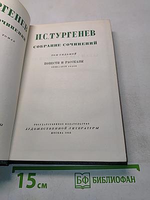 Собрание сочинений. Том седьмой. Повести и рассказы 1863–1870 годов