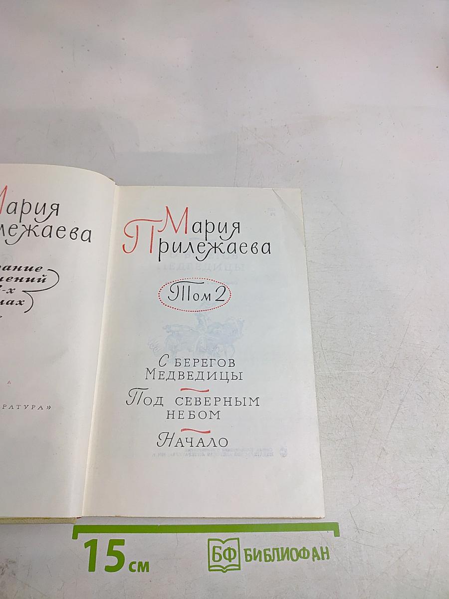 Мария Прилежаева. Медведицы. Том 2