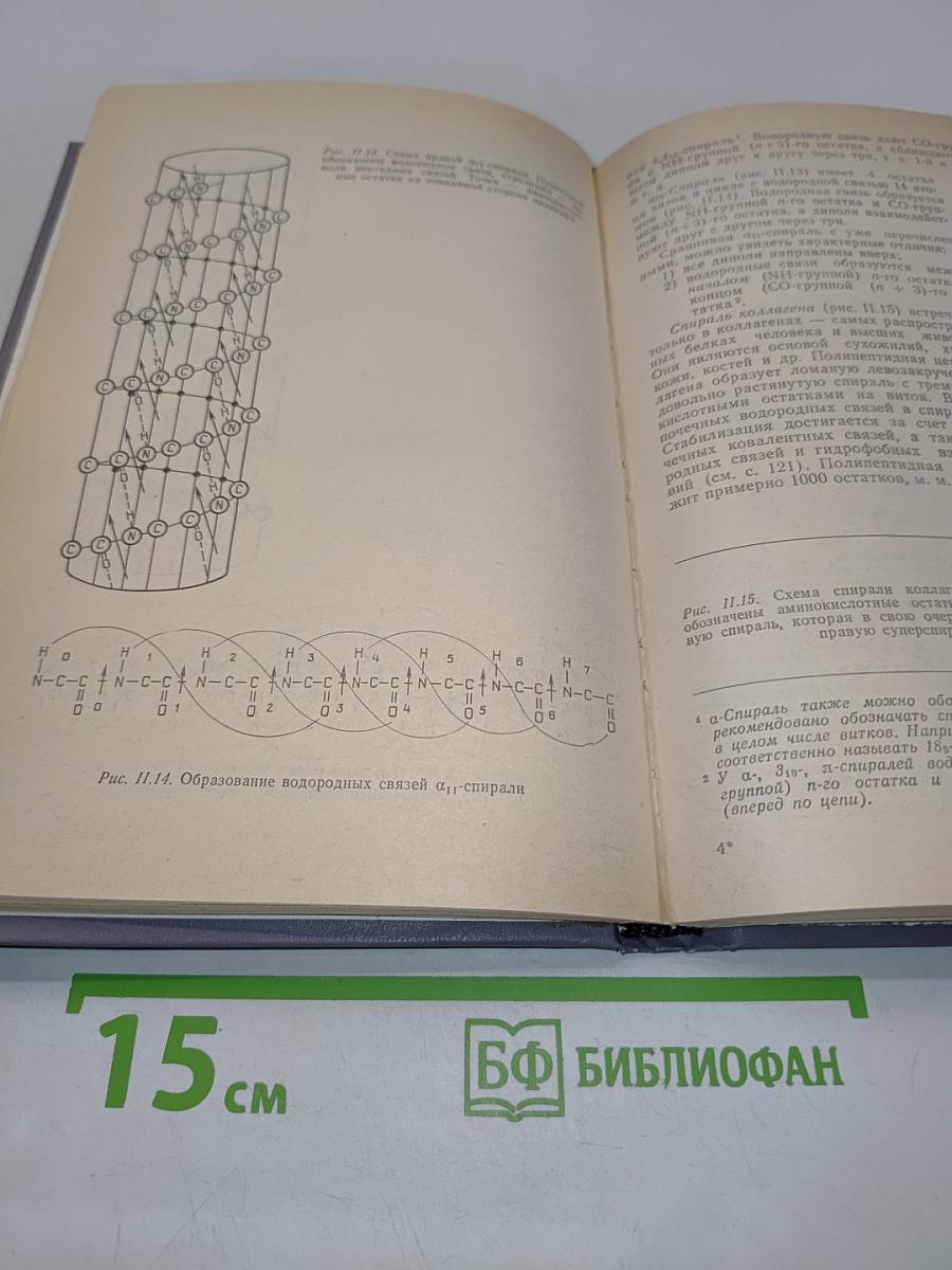 Основы биохимии