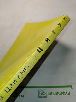 Китайское учение о жизненной энергии. Цигун. Книга 2