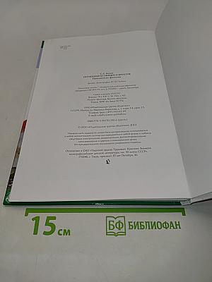 Украшения из овощей и фруктов. Праздничные фантазии