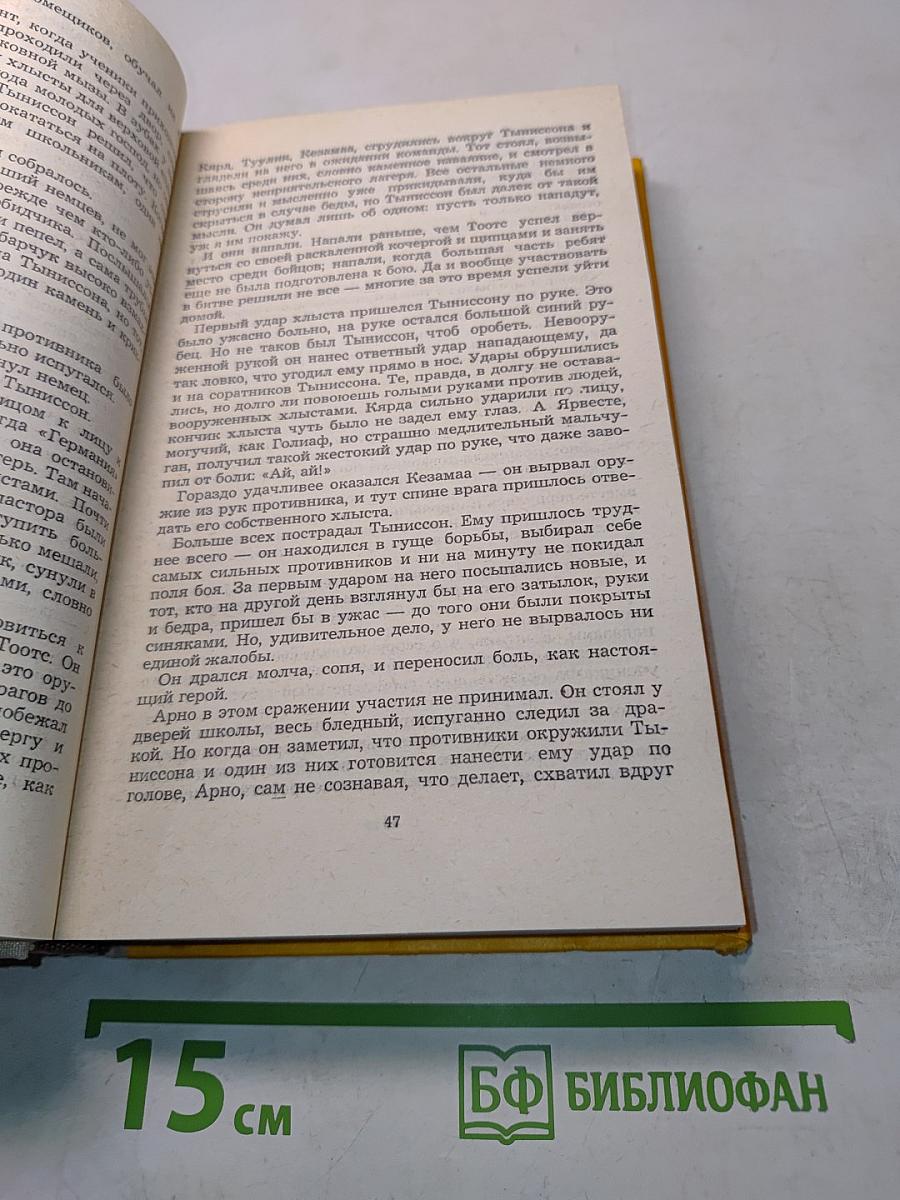 Весна. Лето. Картинки из школьной жизни. Картинки юношеских лет