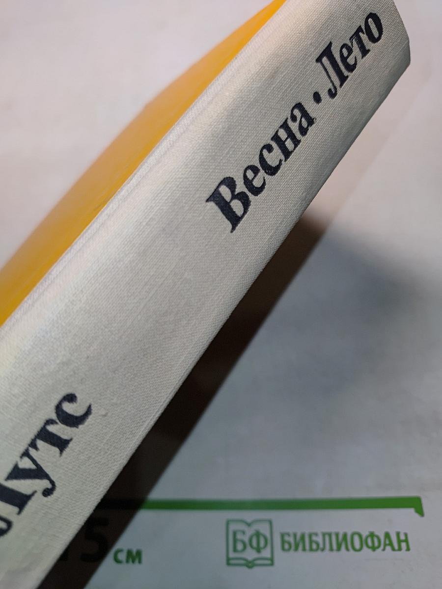 Весна. Лето. Картинки из школьной жизни. Картинки юношеских лет