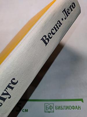 Весна. Лето. Картинки из школьной жизни. Картинки юношеских лет