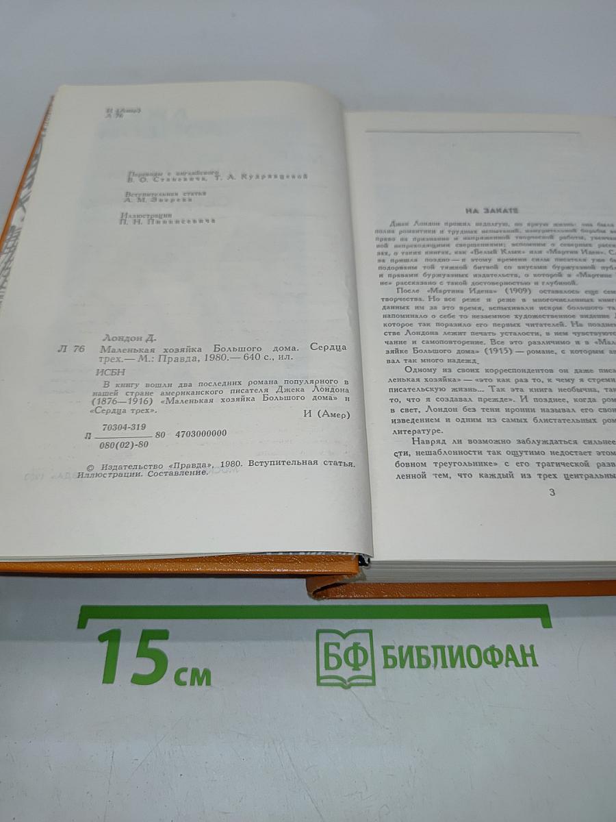 Маленькая хозяйка большого дома. Сердца трех
