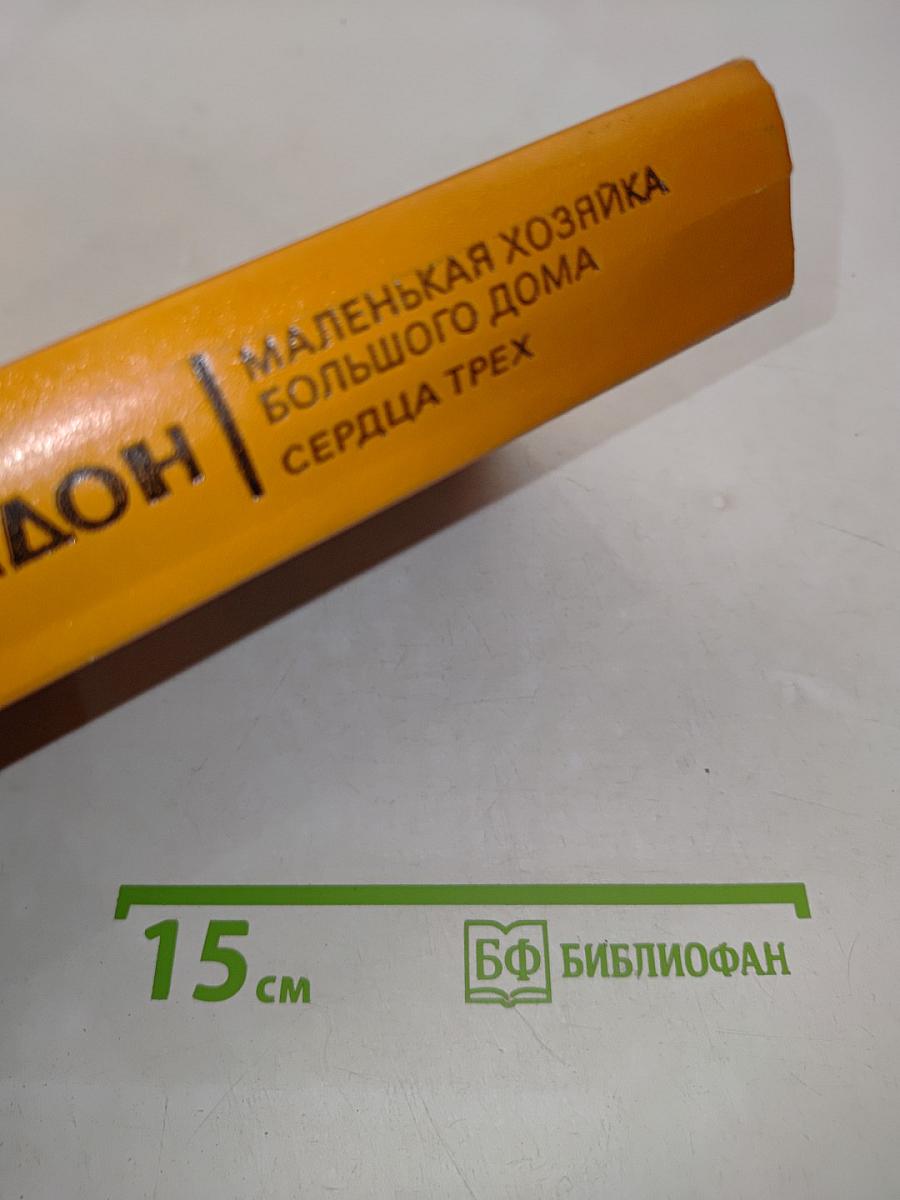 Маленькая хозяйка большого дома. Сердца трех