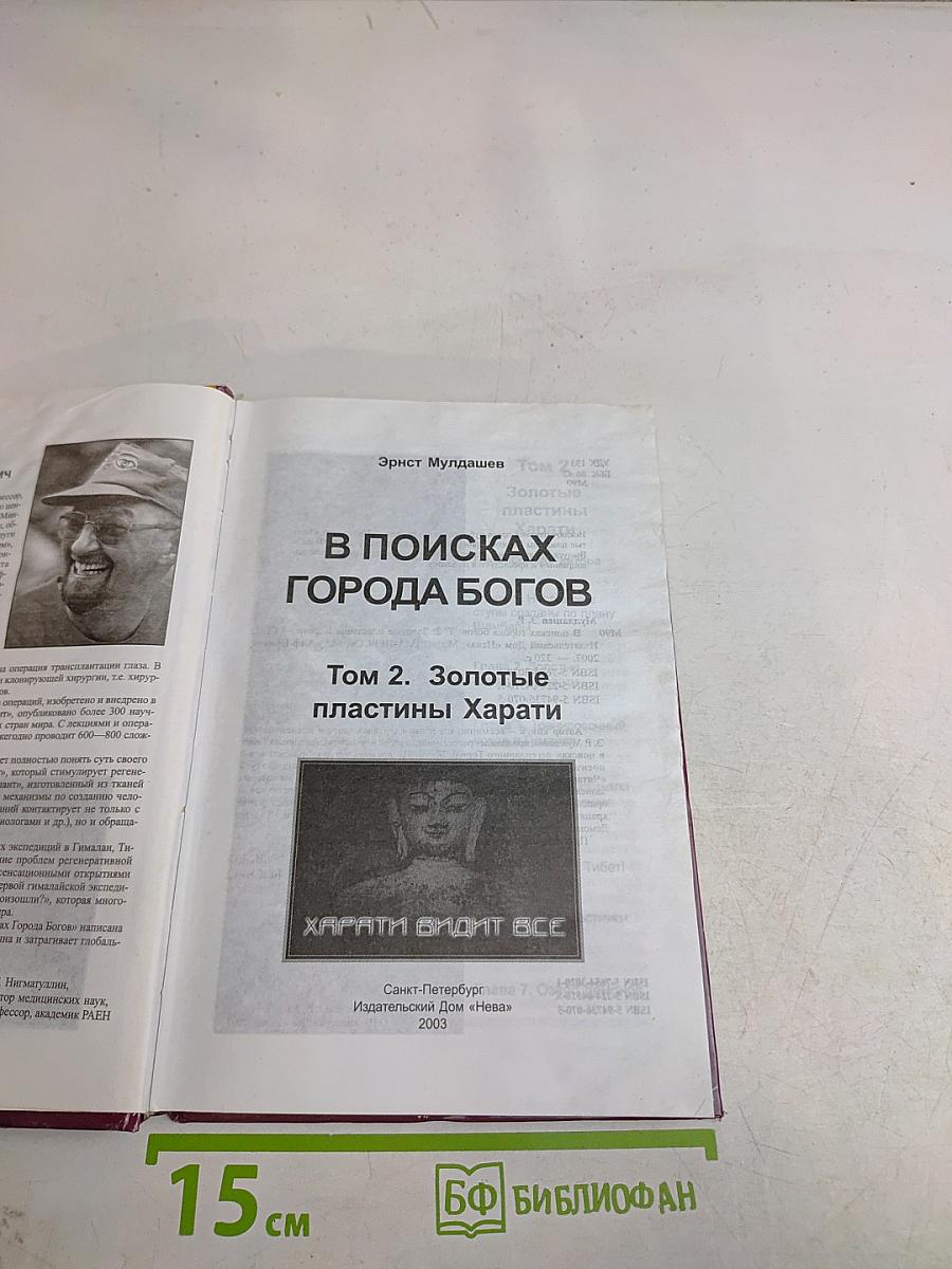 В поисках города богов. Том 2. Золотые пластины Харати
