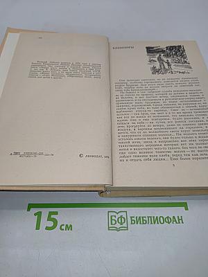 Хлебозоры