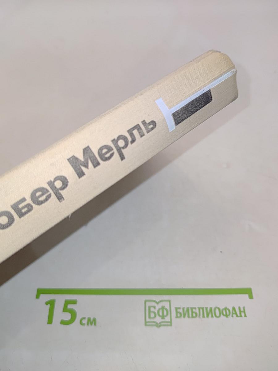 За стеклом
