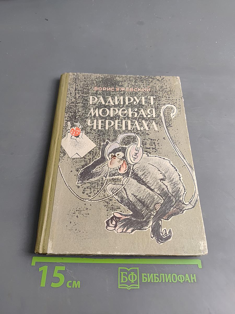 Радирует морская черепаха