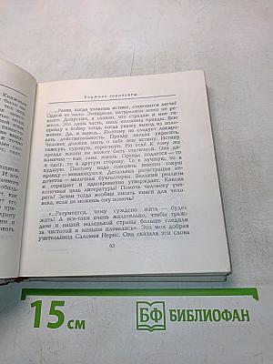Ночные бабочки