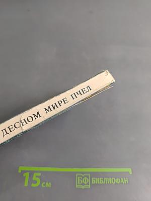 В чудесном мире пчел