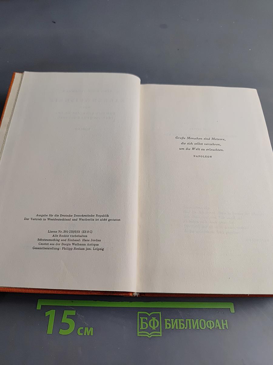 Narrenweisheit oder Tod und Verklärung des Jean-Jacques Rousseau
