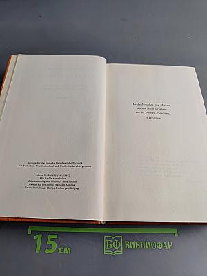 Narrenweisheit oder Tod und Verklärung des Jean-Jacques Rousseau