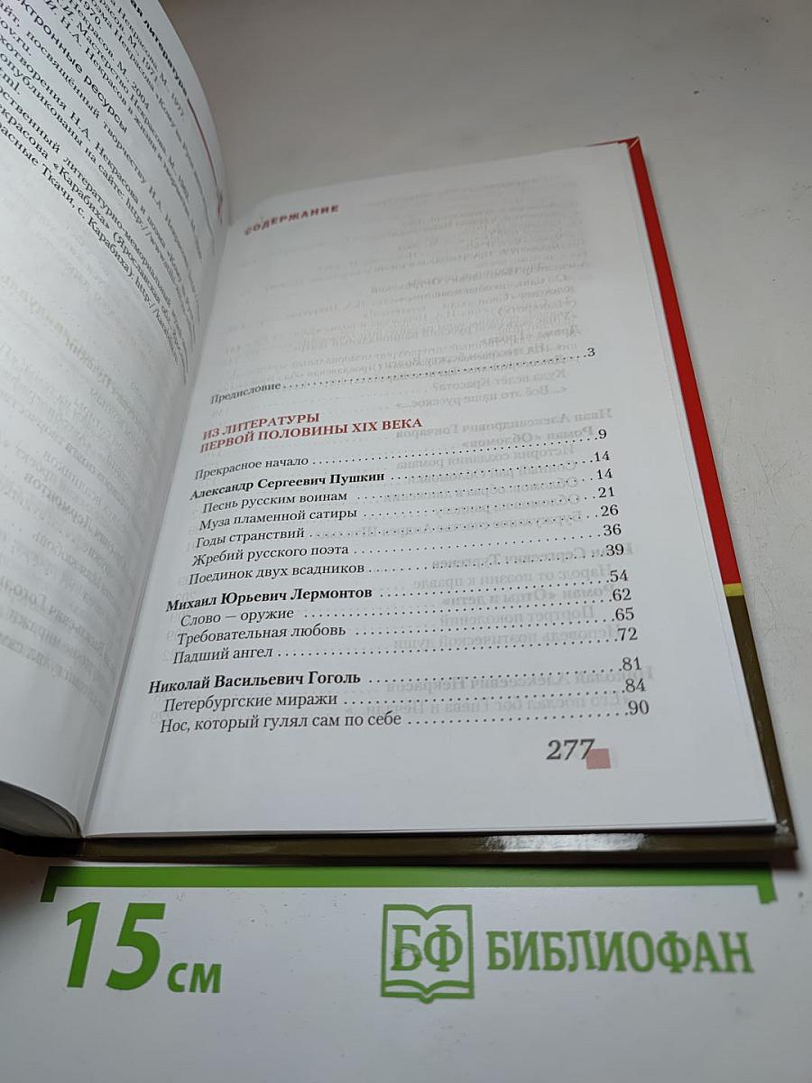 Литература 10 класс, Часть I