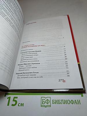 Литература 10 класс, Часть I