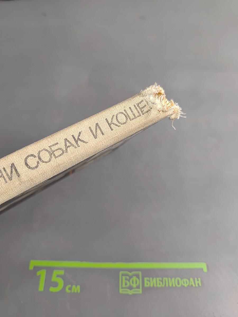 Болезни собак и кошек