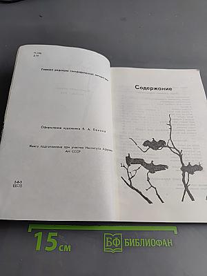 Джамбо, Африка!