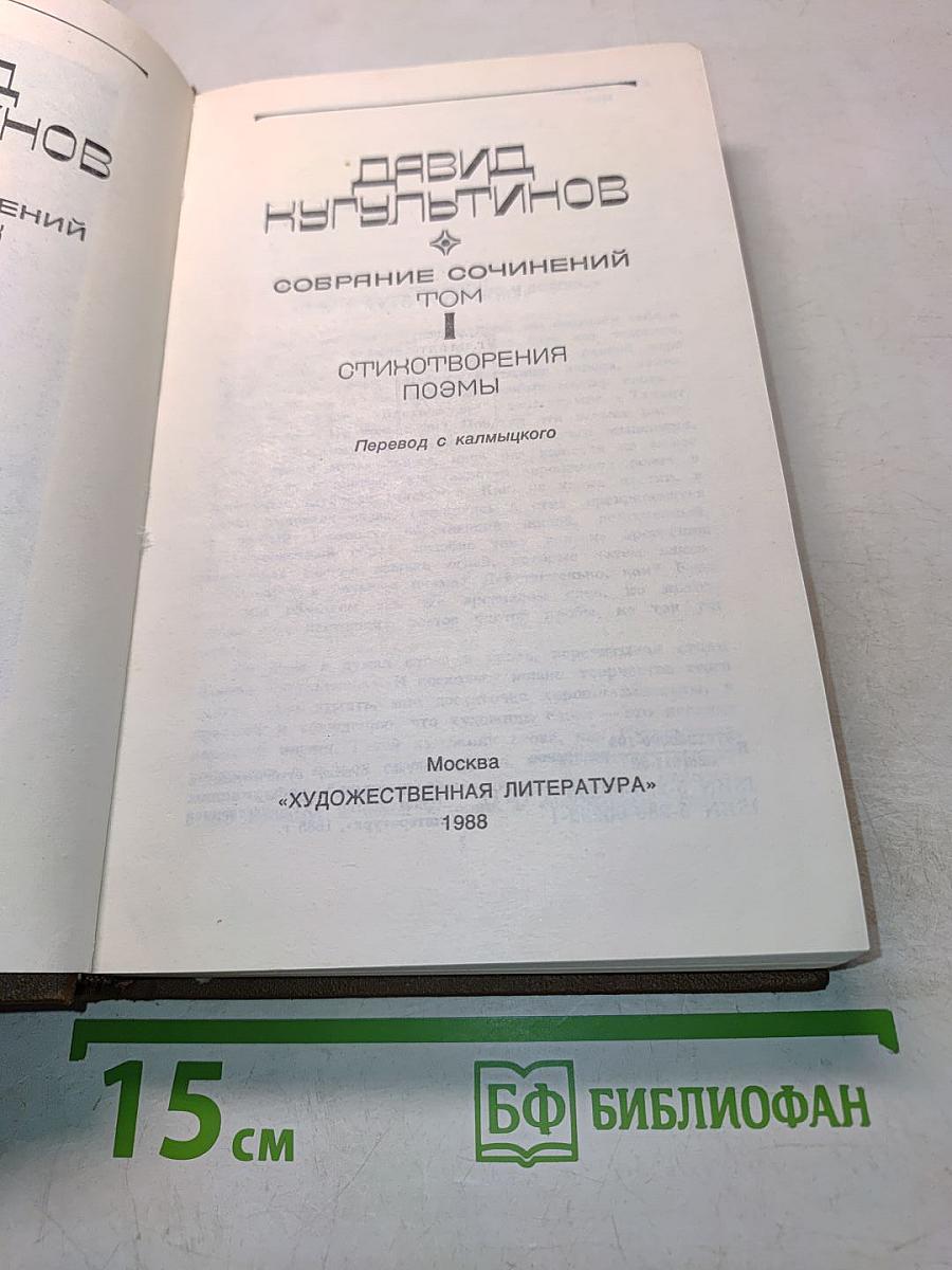 Стихотворения и поэмы. Том 1