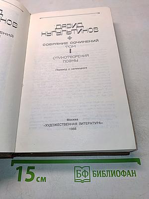 Стихотворения и поэмы. Том 1