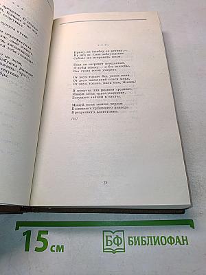 Стихотворения и поэмы. Том 1