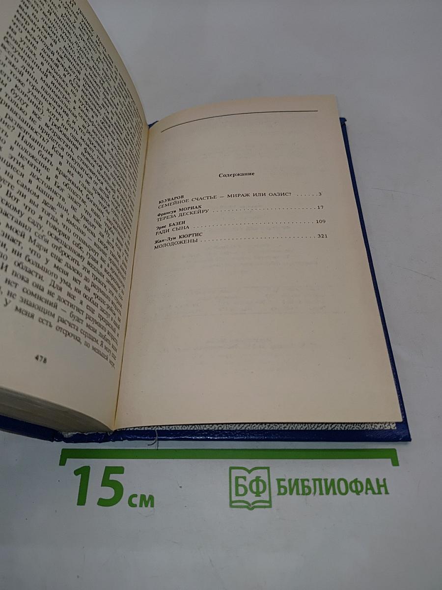 Французский семейный роман
