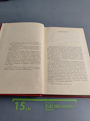 Очерки истории Всероссийской чрезвычайной комиссии (1917-1922 гг.)