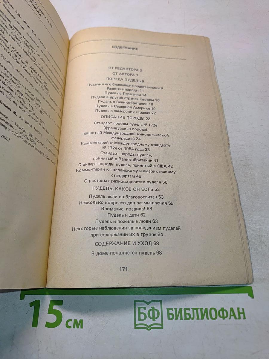 Пудель