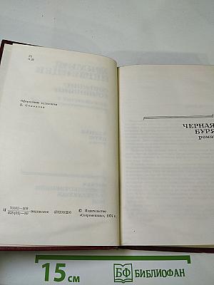 Черная буря