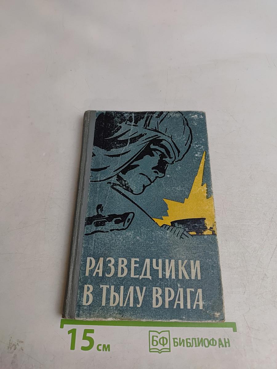 Разведчики в тылу врага