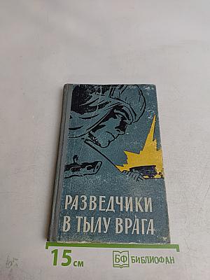 Разведчики в тылу врага