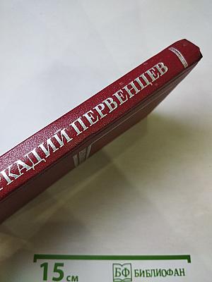 Черная буря