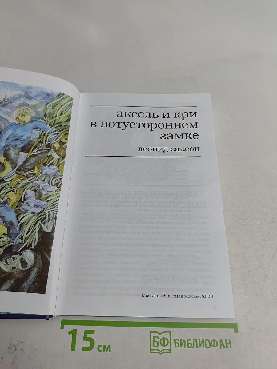 Аксель и Кри в потустороннем замке