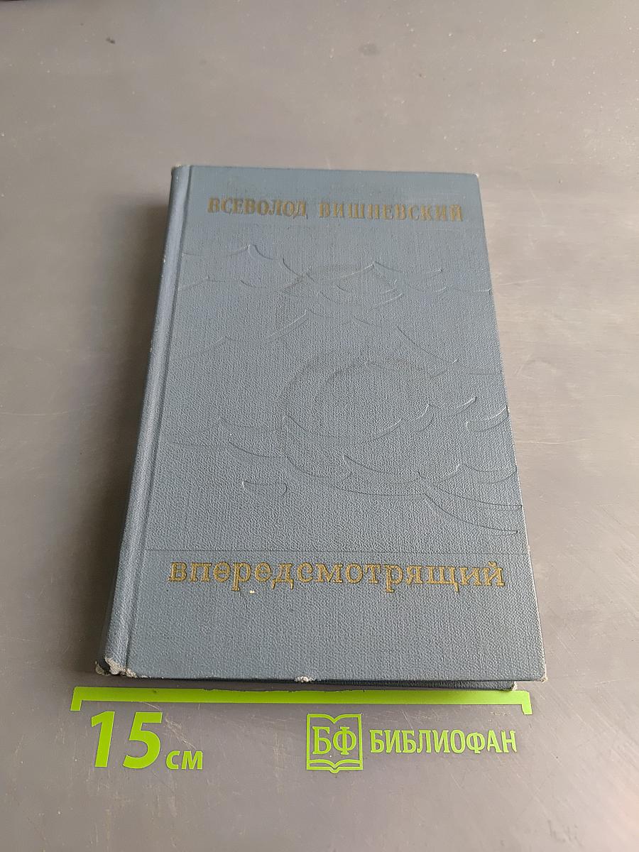 Впередсмотрящий