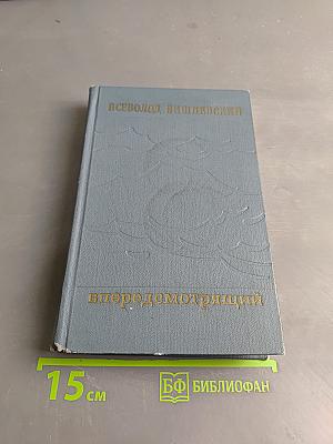 Впередсмотрящий