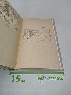 Французский роман XIX века