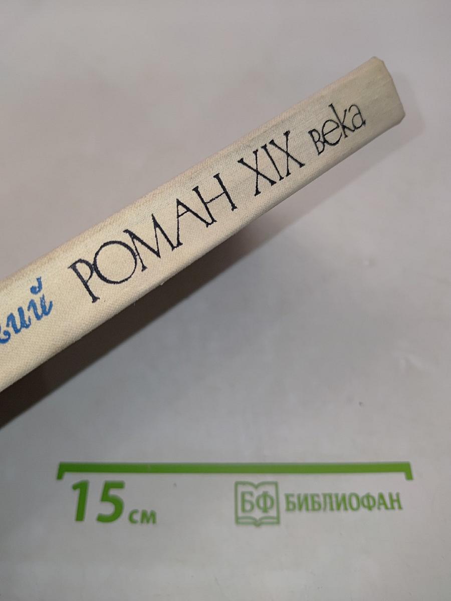 Французский роман XIX века