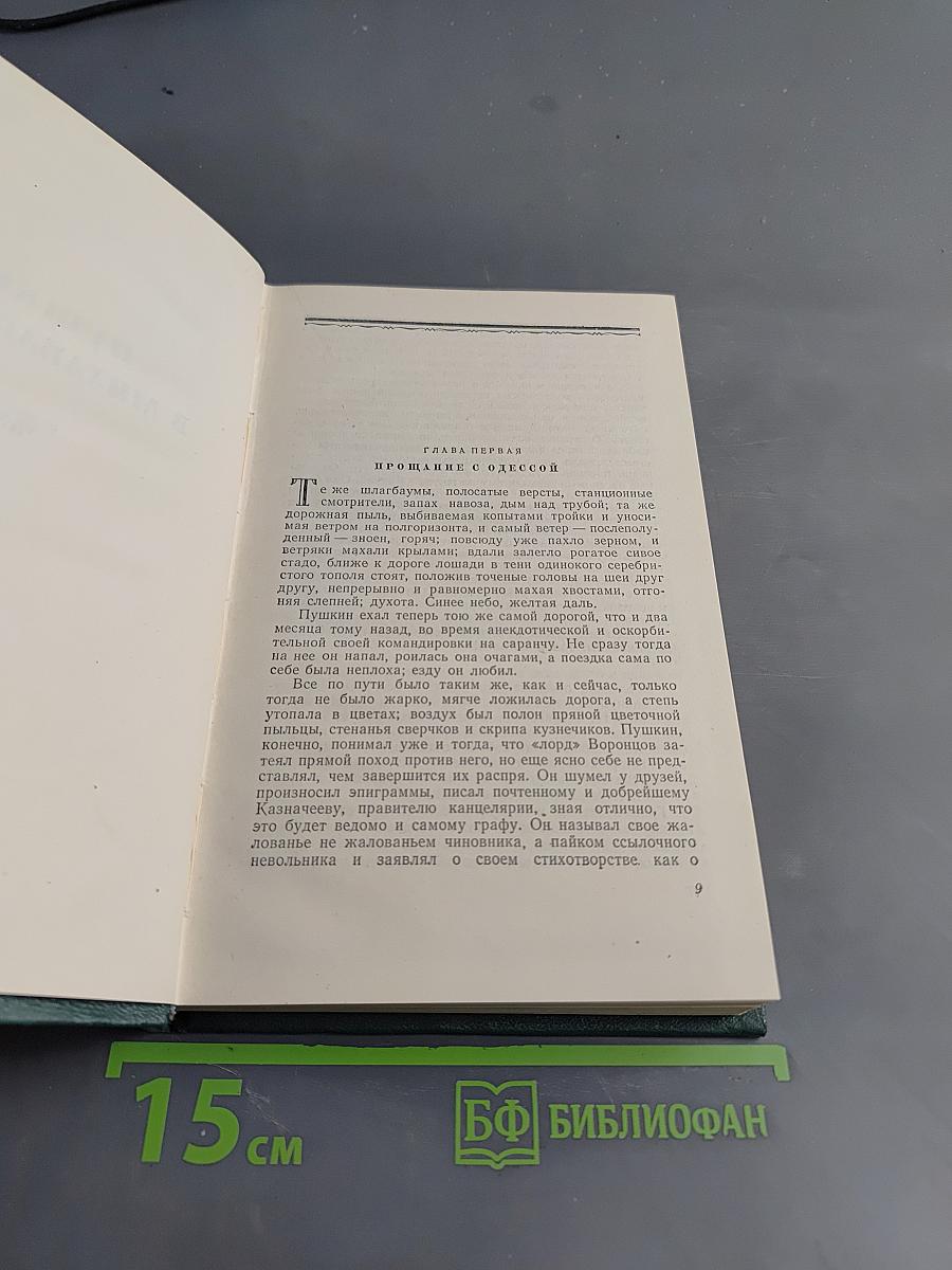 Избранные сочинения. Том второй. Пушкин в изгнании. Книга вторая