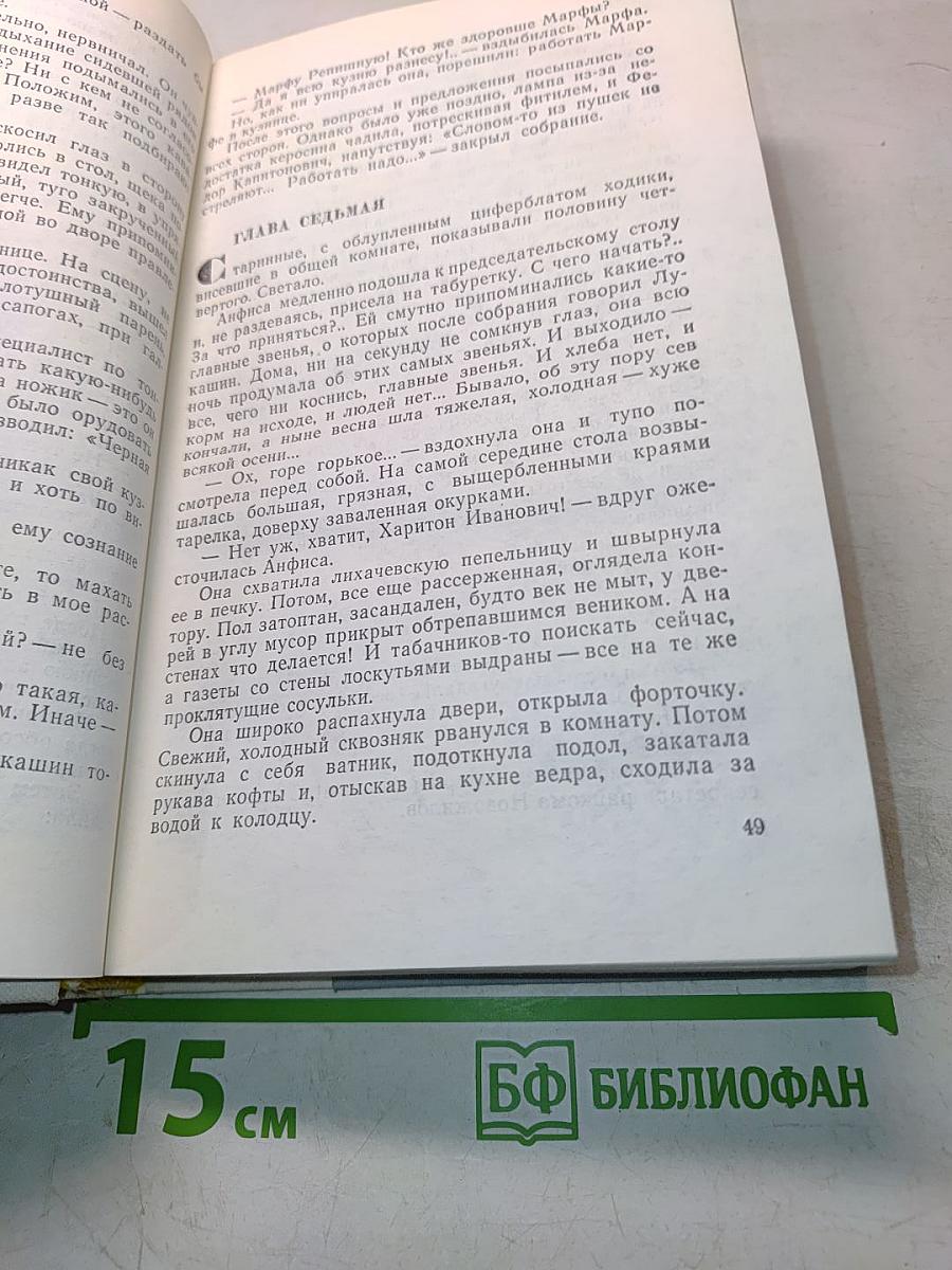 Братья и сестры. Две зимы и три лета