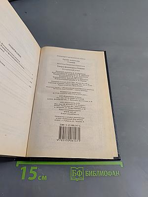 Голицын. Генерал-фельдмаршал Голицын: Исторический роман