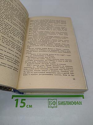 Сыновья Беки