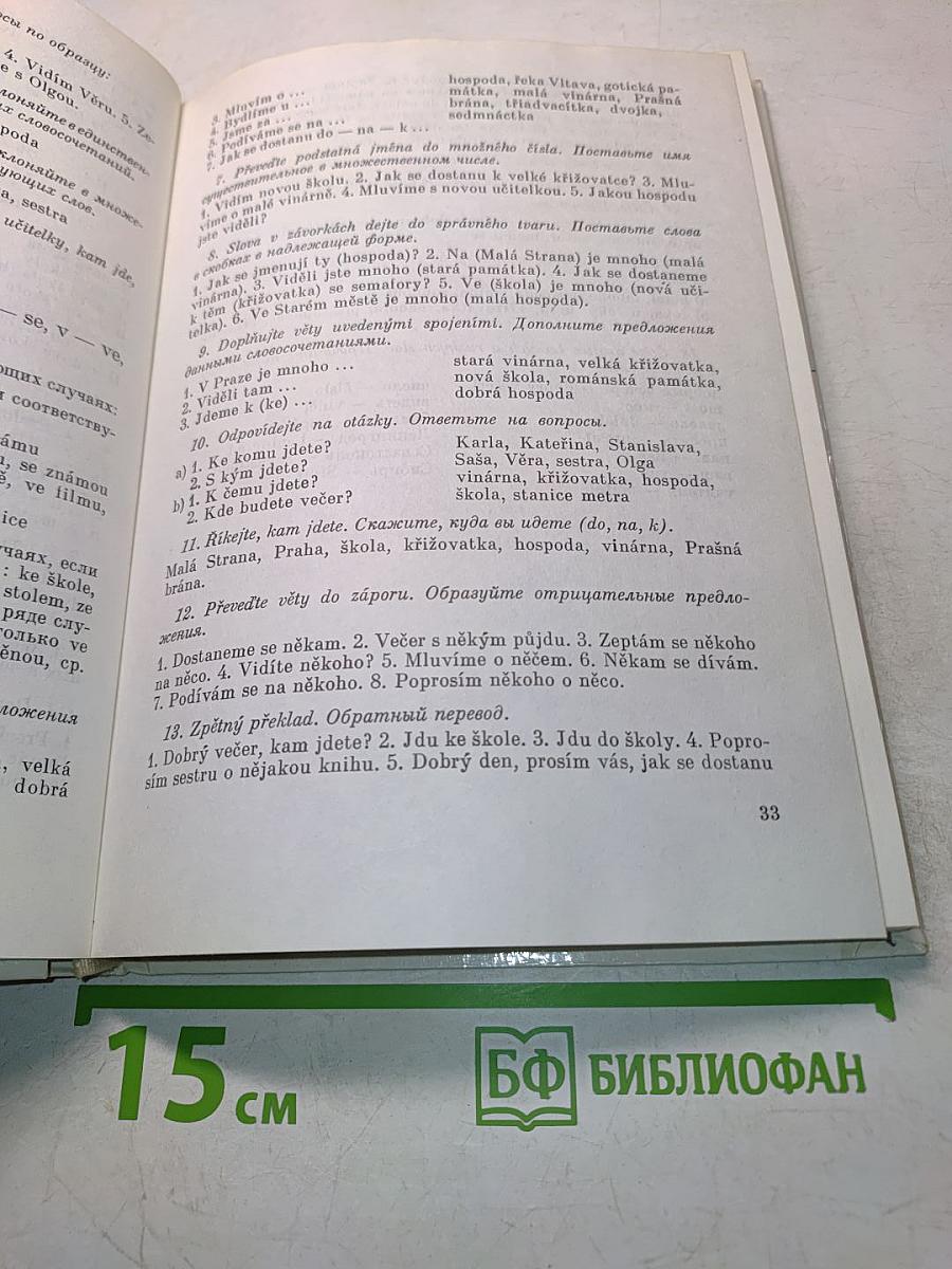 Чешский язык