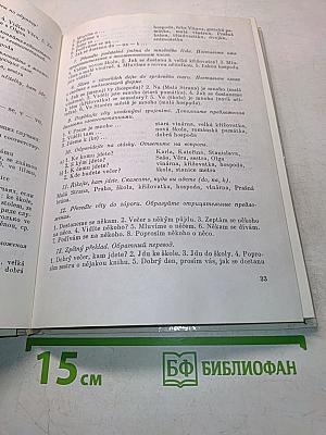 Чешский язык