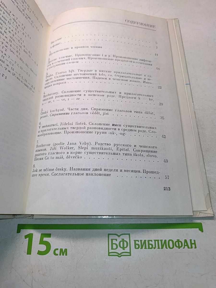 Чешский язык